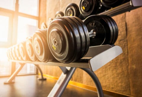 Dumbbells on a rack in a gym with sunlight streaming in from a window.