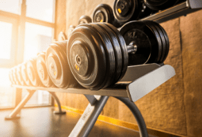 A rack of black dumbbells in a gym with sunlight streaming through a window.