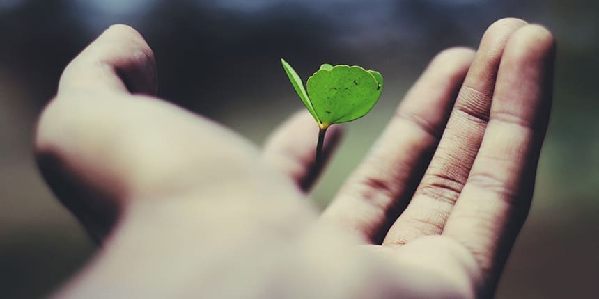 Plant growing in a person's hand.