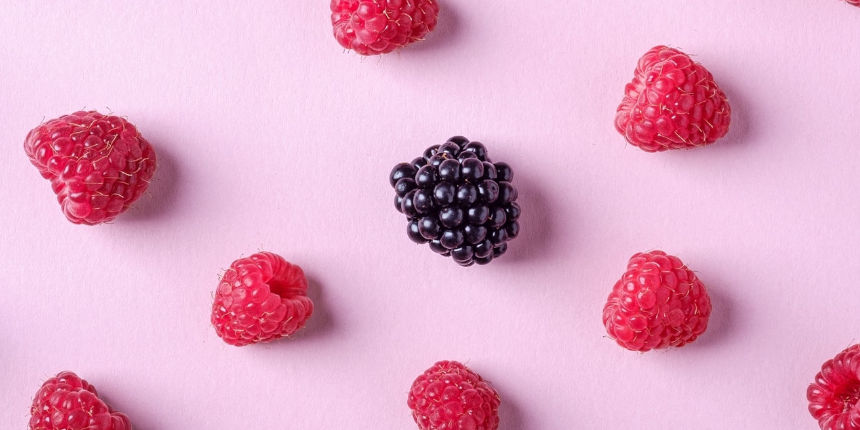 One blackberry among many raspberries